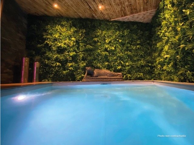 piscine-interieur-privative