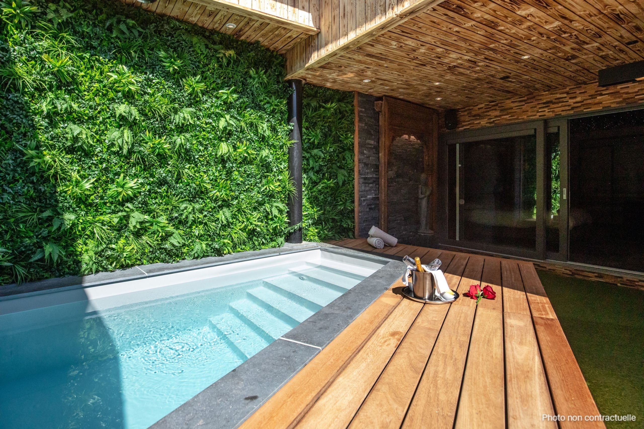 41 Piscine-privative-en-journée